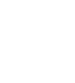 Telstar-home-entertainment-Technical-Advice-Icon