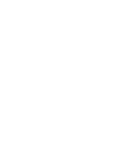 Telstar-home-entertainment-Unparralled-Service-Icon